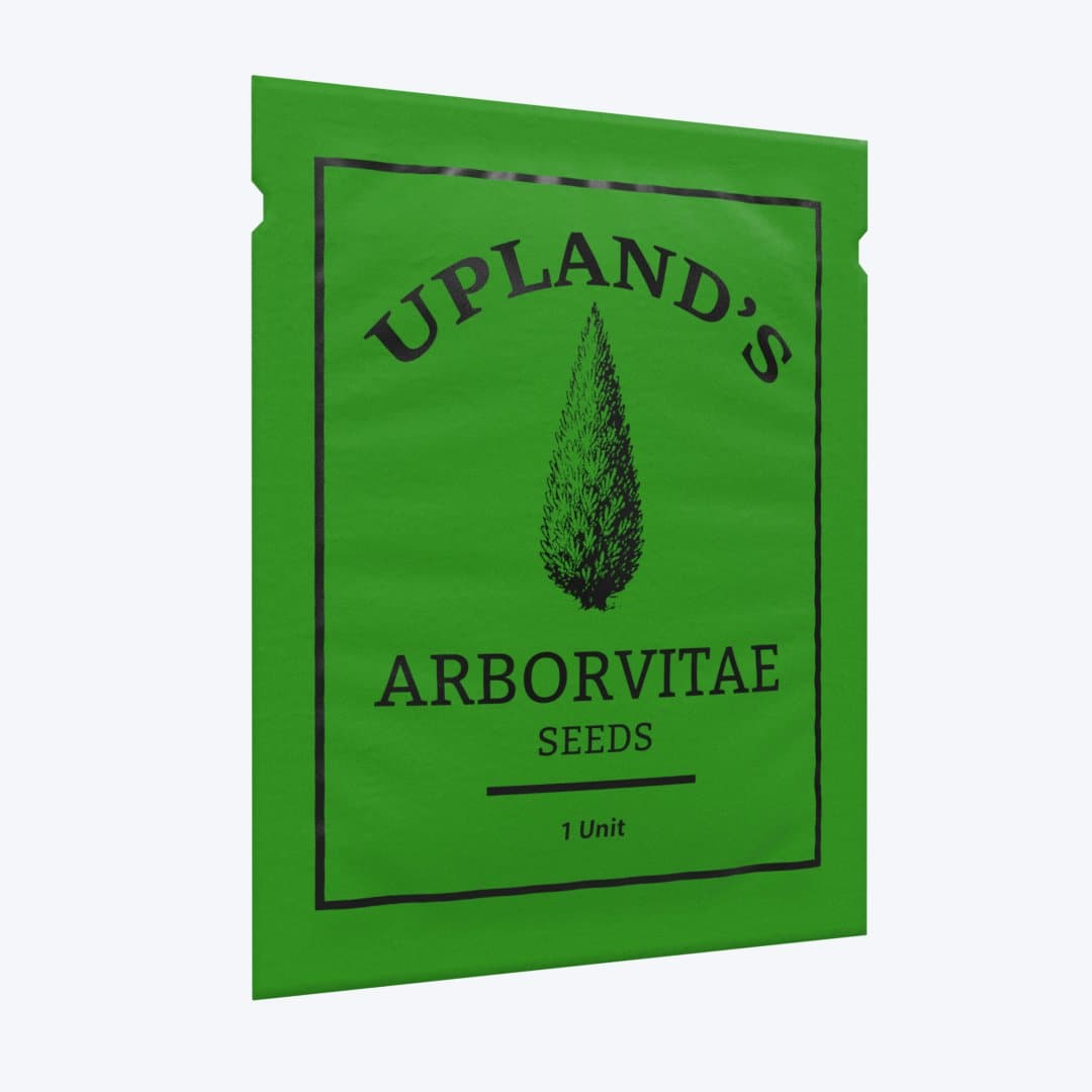 Arborvitae seed packet