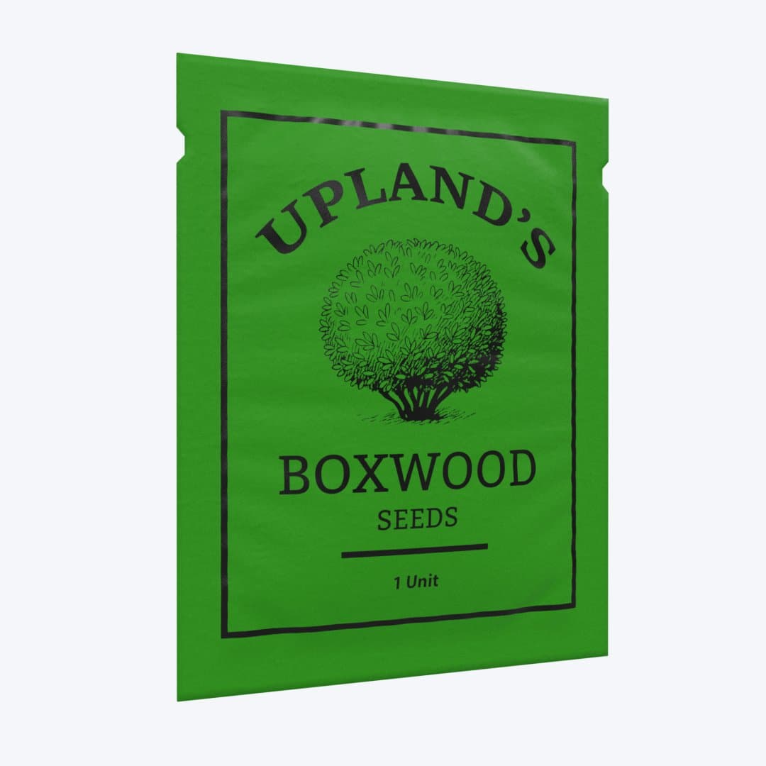 Boxwood seed packet