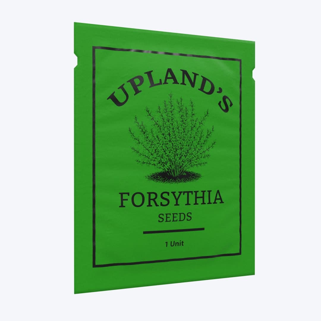 Forsythia seed packet