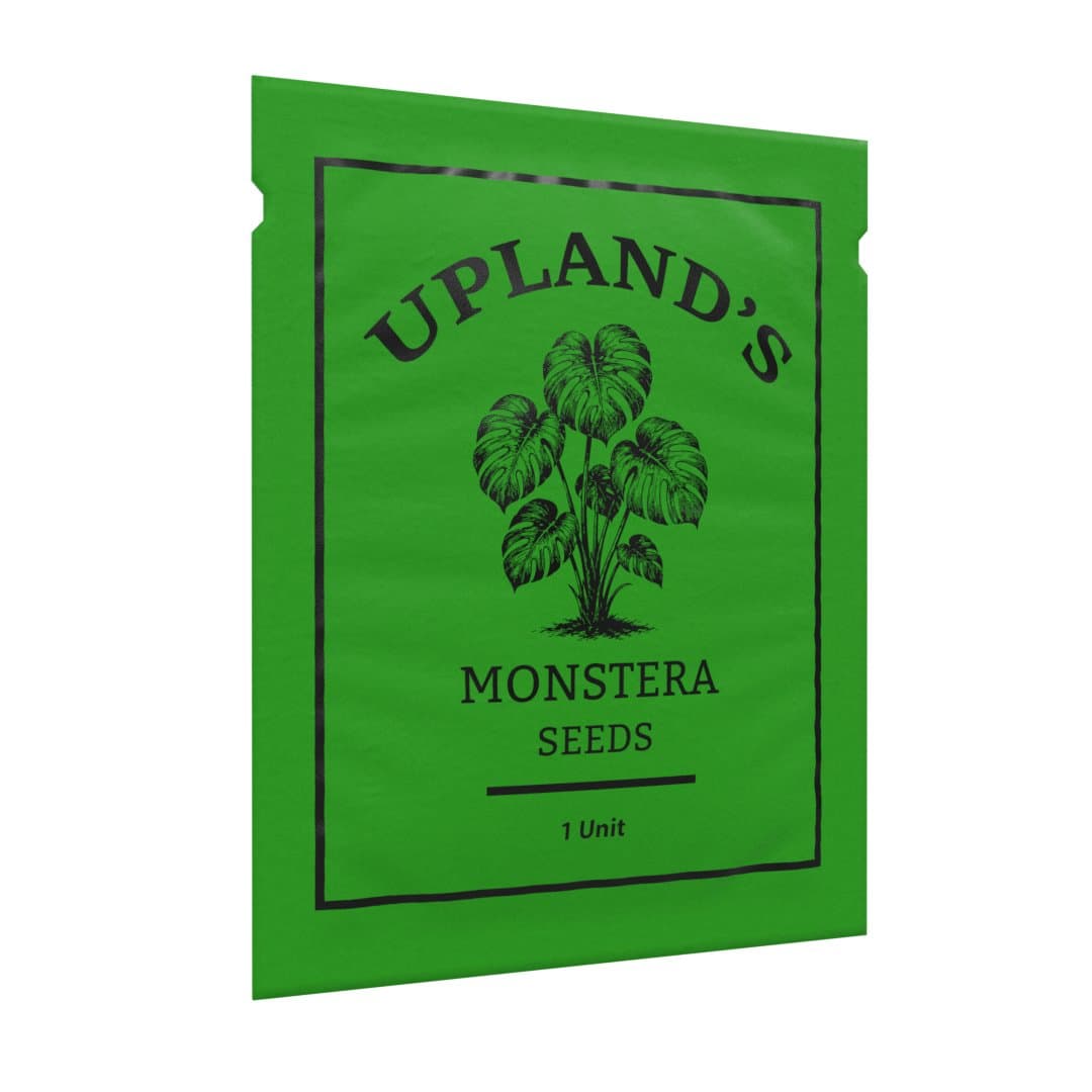 Monstera seed packet