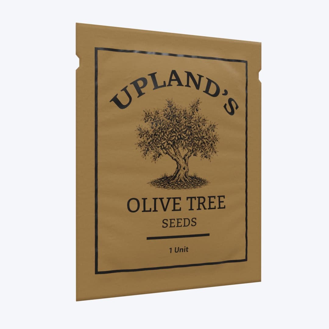 Olive tree seed packet