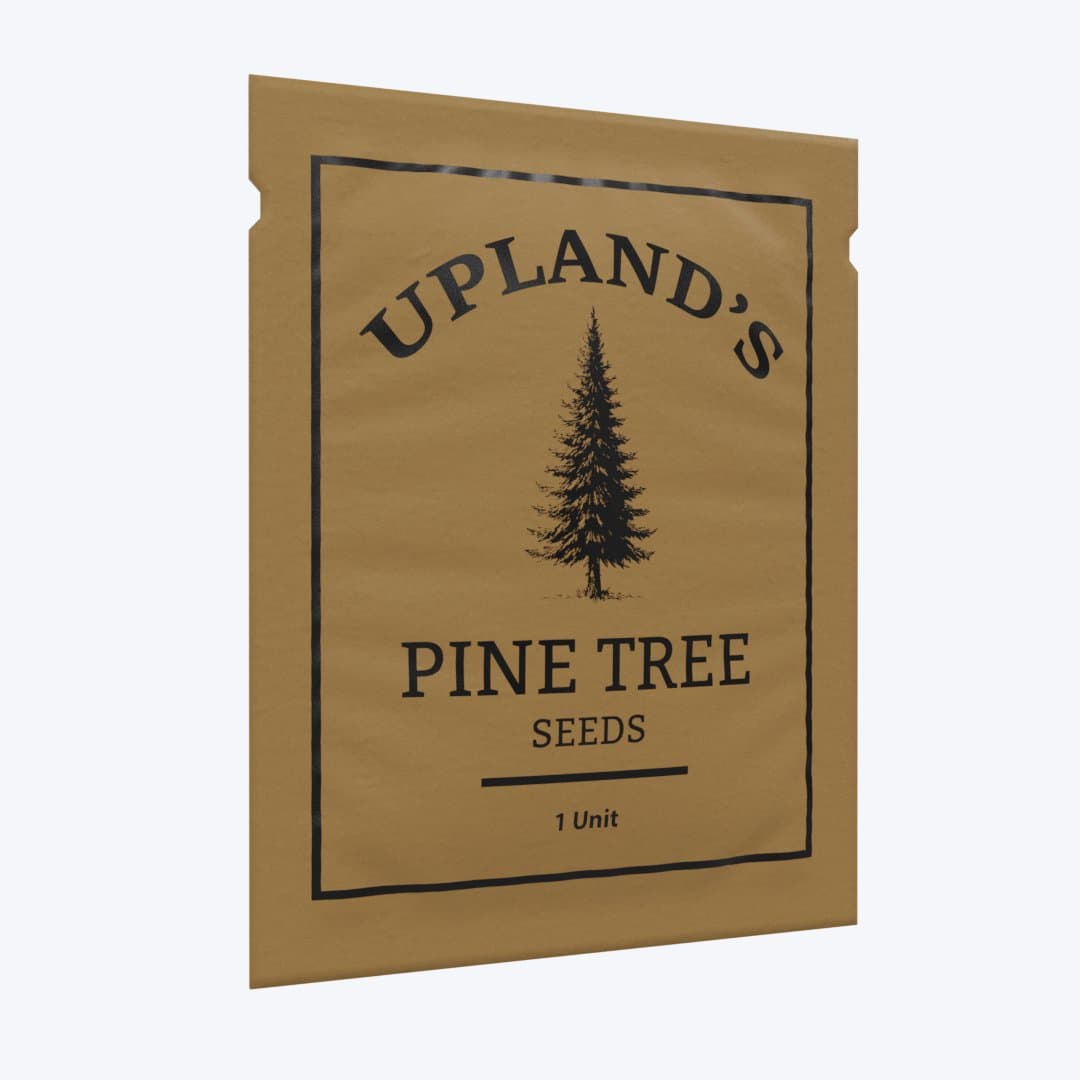 Pine tree seed packet