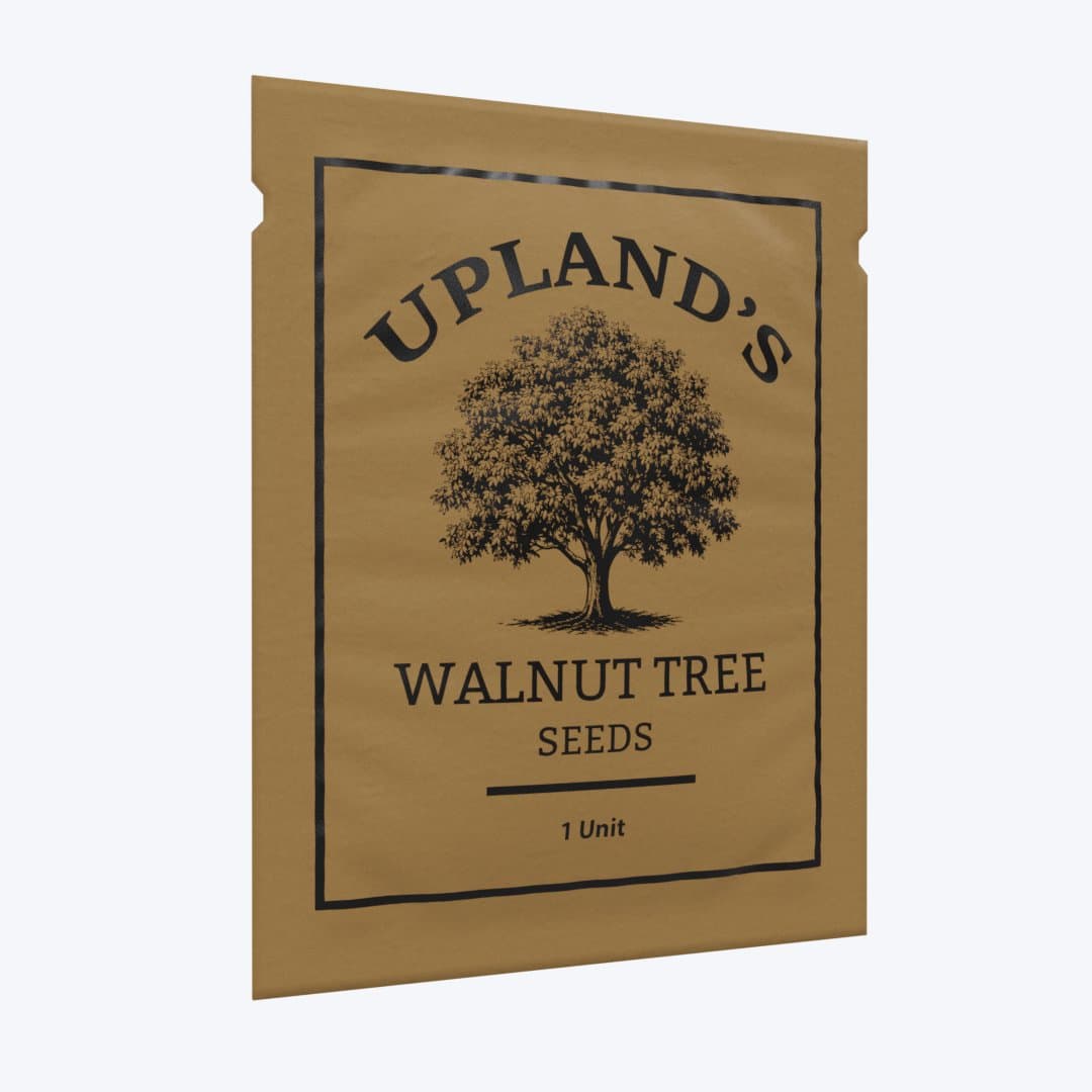 Walnut tree seed packet
